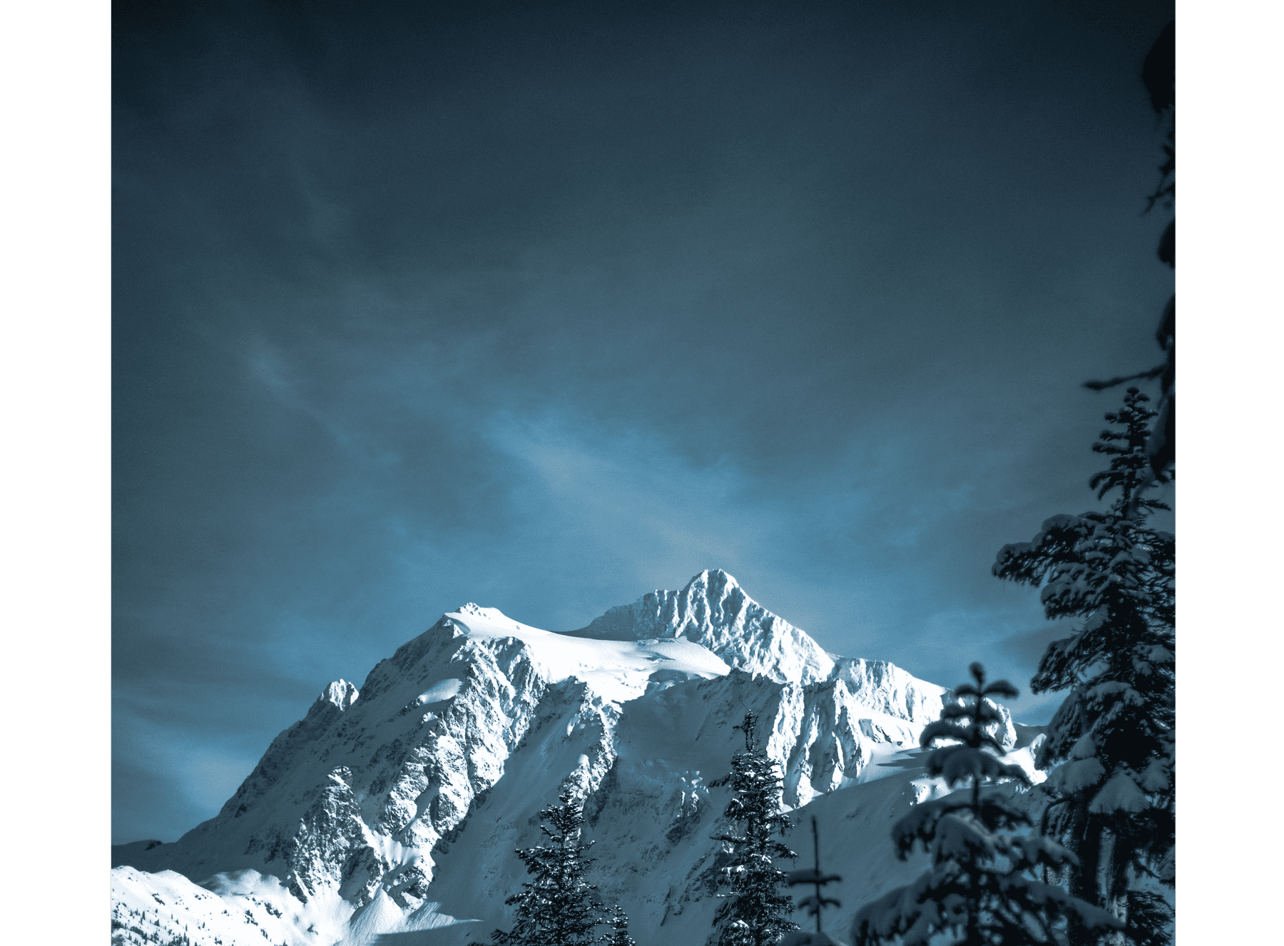 inspi wintersky